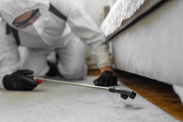 Professional Bed Bug Control technician working in Oaklawn-Sunview, KS