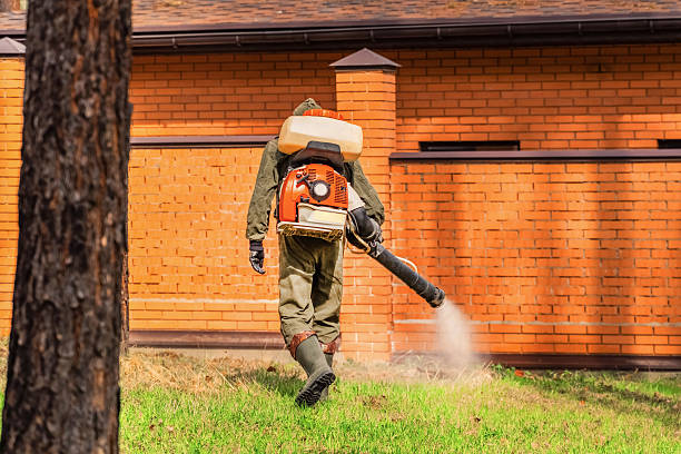 Trusted Ant Control service in Oaklawn-Sunview, KS - Nex Pest Control